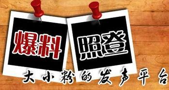 黑龙江新闻爆料平台,聚焦民生热点，揭示社会真相